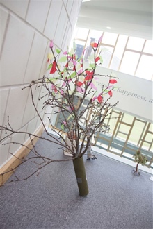 Year 8 Trees Project Feb 2019